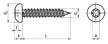 Hexalobular (6 Lobe) socket pan head tapping screws 50 mm