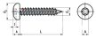 Hexalobular (6 Lobe) socket pan head tapping screws 60 mm