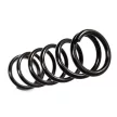 BDS Pro-Ride Lift 2" Front coil springs - Jeep Wrangler TJ 97-06
