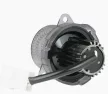 Direction indicator light, revesing, parking lamp universal integrated 