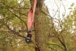 MORE4x4 Winch strap 2m / 12t Double stiched, red
