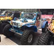 ORI Strut STX-12-AA